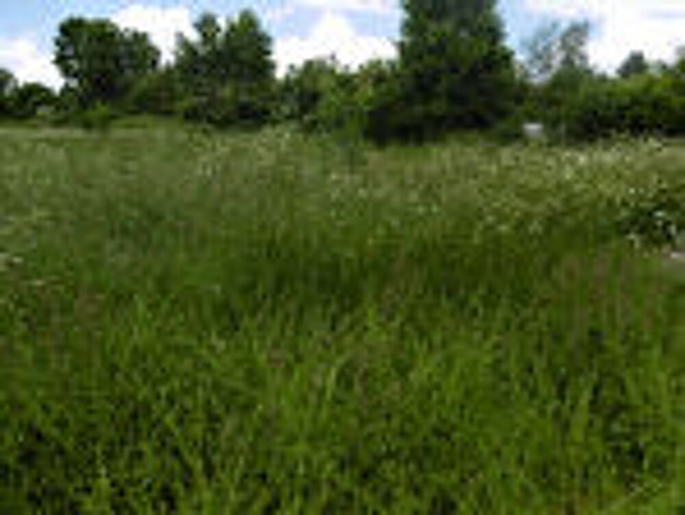 Vente Terrain TRES BEAU TERRAIN A BATIR PLAT ET VIABILISE DE 6200 M2 POUR LOTIR 5 OU 6 MAISONS A MILLY SUR THERAIN Troissereux