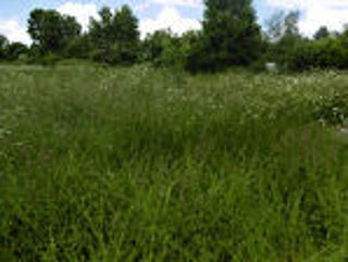  Terrain � vendre 6200 m�