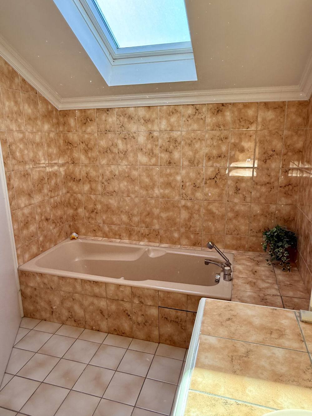 � vendre  Propri�t�/ch�teau Bron (69500)