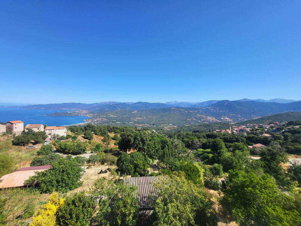 � vendre  Maison Calcatoggio (20111)