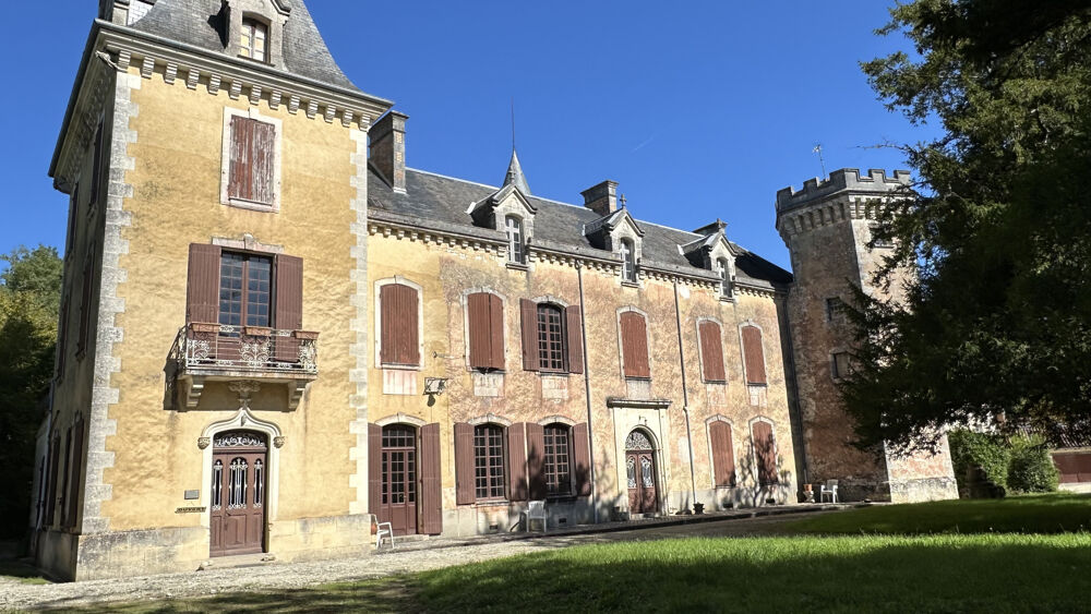  vendre  Proprit/chteau Saint-Jean-d'Angly (17400)