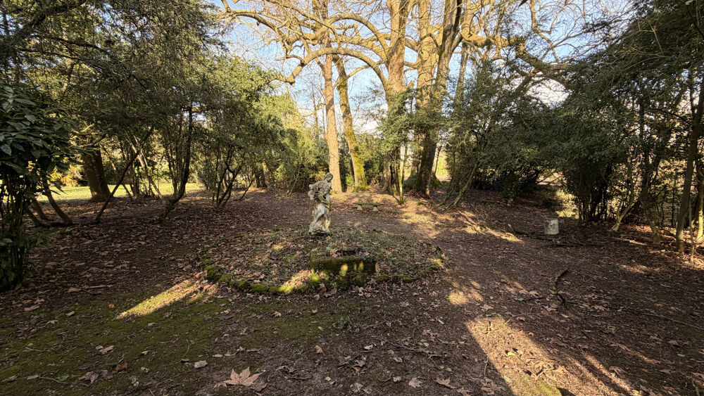 � vendre  Propri�t�/ch�teau Saint-Jean-d'Ang�ly (17400)