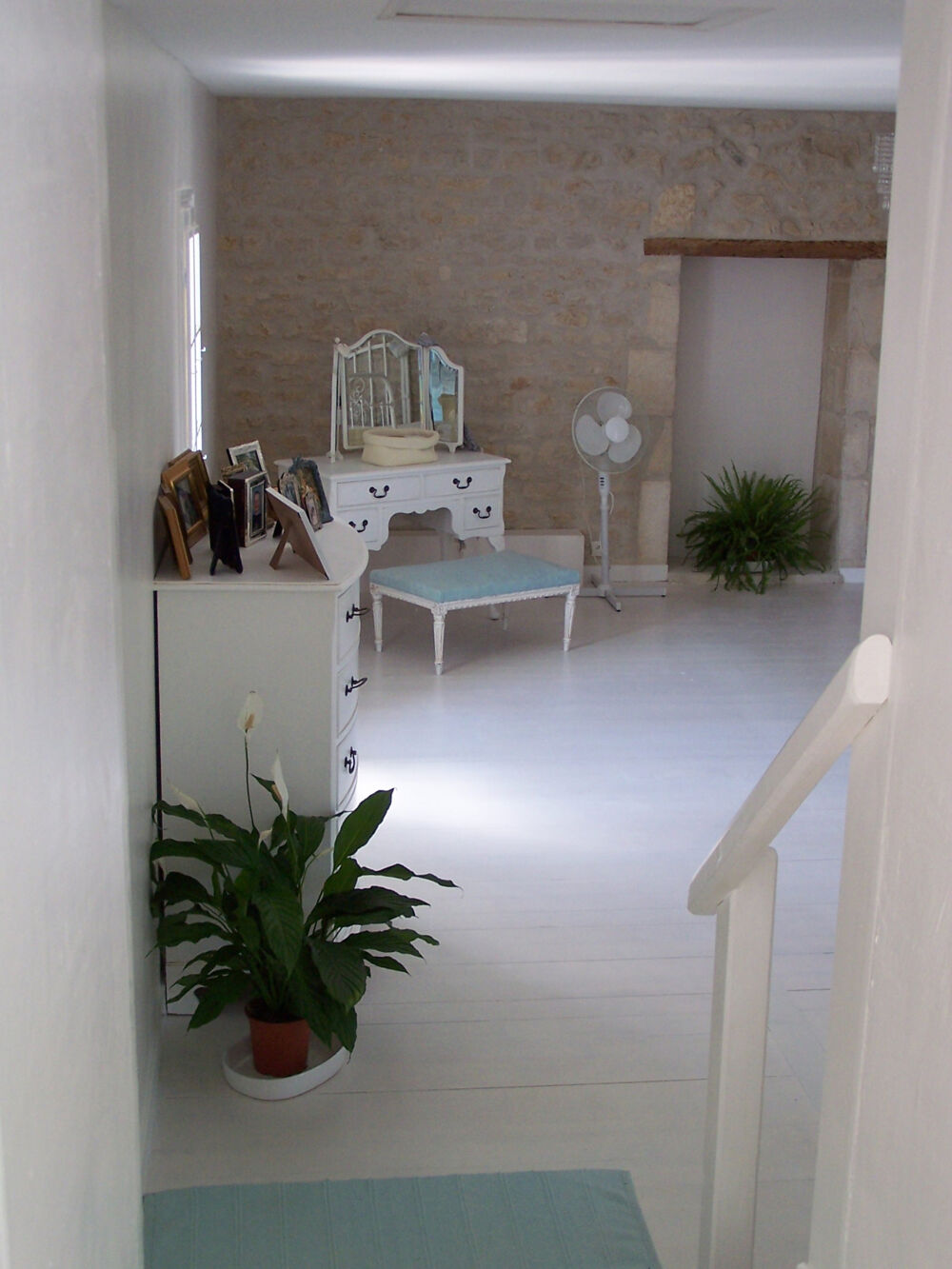 � vendre  Propri�t�/ch�teau Saint-Jean-d'Ang�ly (17400)