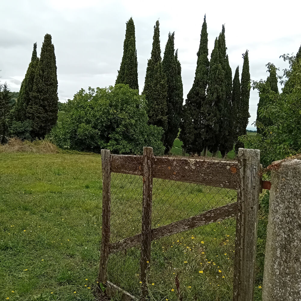 Vente Terrain Beau terrain de 1.660m2 avec CU Alaigne