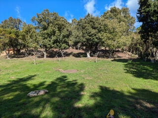  Terrain  vendre 1188 m