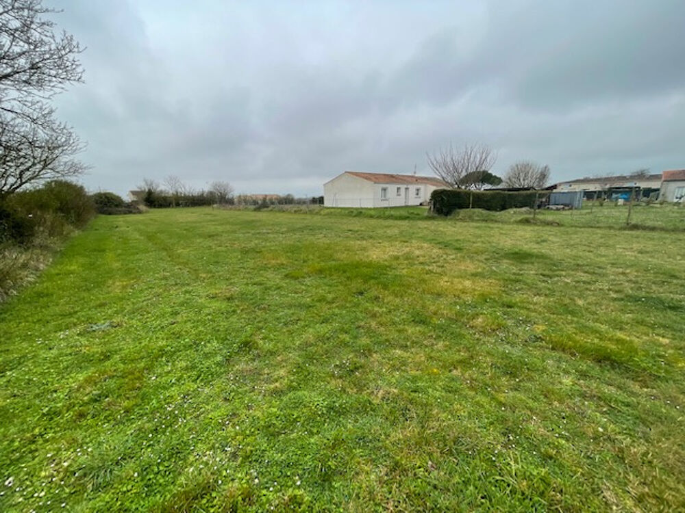 Vente Terrain  Arces Terrain constructible de 1445 m2 Arces