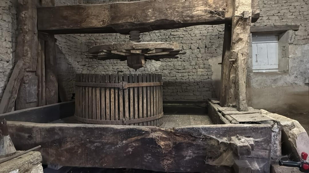 � vendre  Propri�t�/ch�teau Saint-Jean-d'Ang�ly (17400)