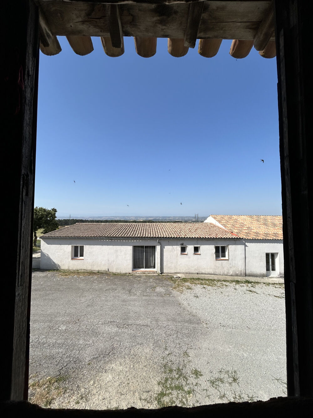 à vendre  Propriété/château Saint-Papoul (11400)