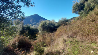  Terrain à vendre 2350 m²
