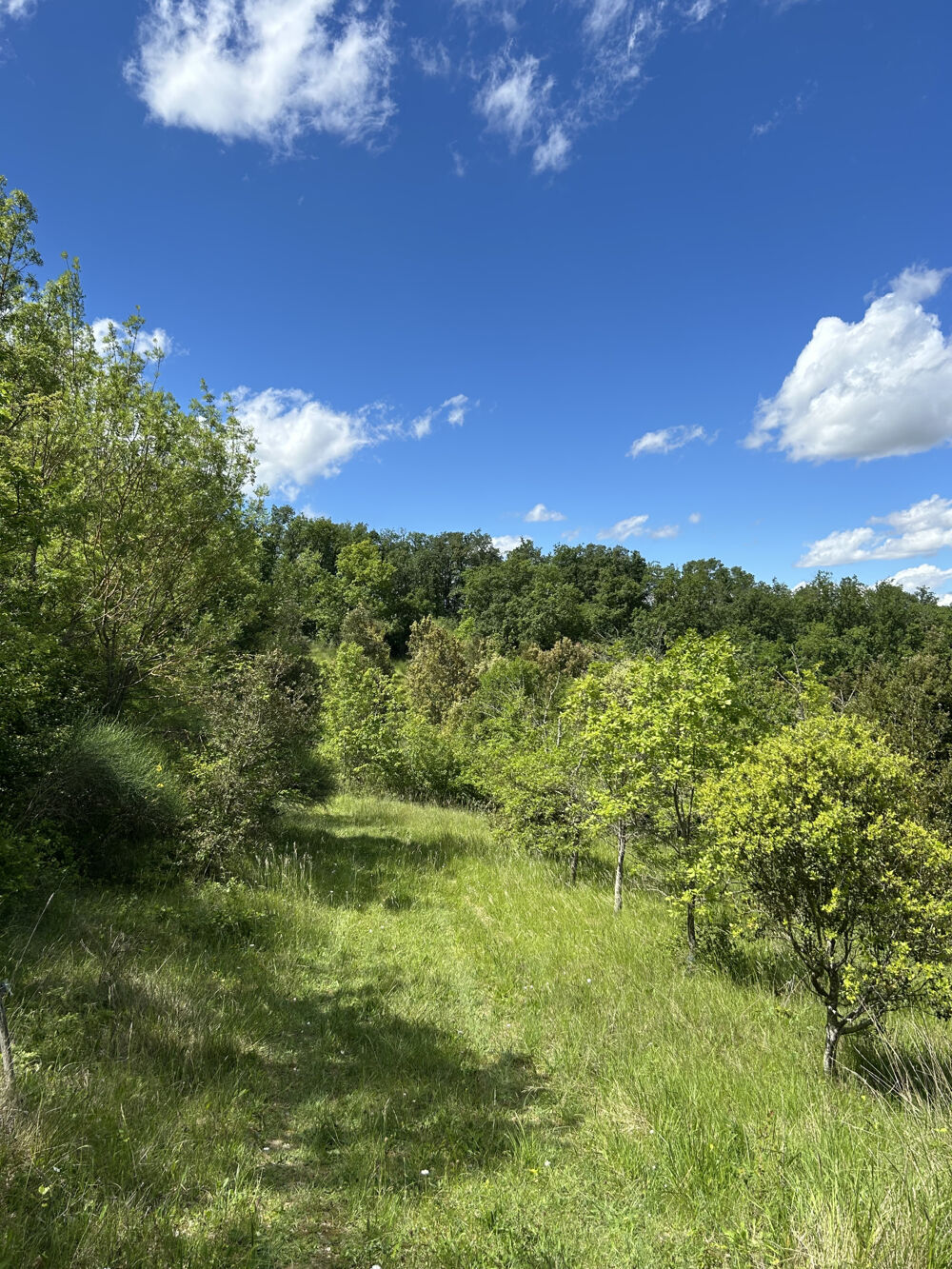 Vente Propriété/Château Un havre de paix au cœur de la nature - Domaine de charme sur 6 hectares La cassaigne