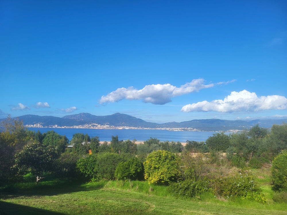 � vendre  Propri�t�/ch�teau Porticcio (20166)