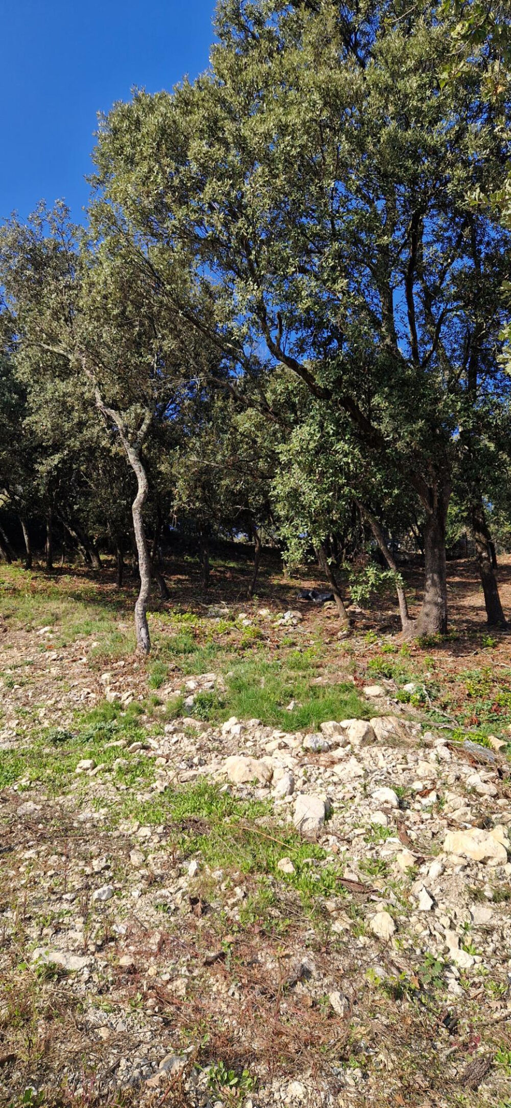 Vente Terrain Terrain Rochegude 1502 m2 Rochegude
