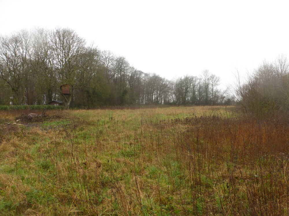 Vente Terrain SUPERBE TERRAIN A BATIR VIABILISE DE 6200 M2 DONT UN TIER EST CONSTRUCTIBLE POUR PLUSIEURS MAISONS Troissereux