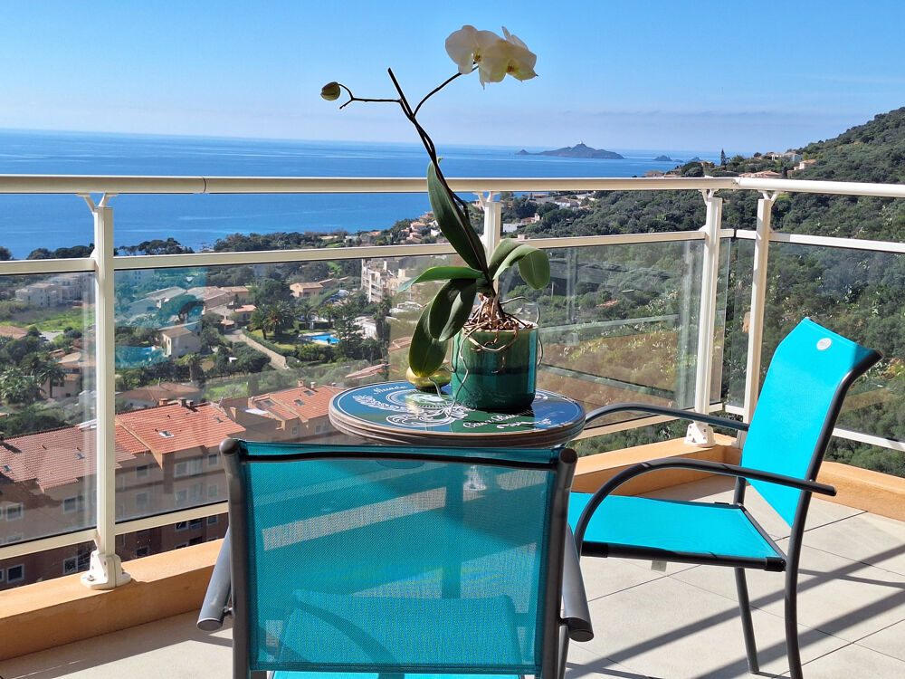 à vendre  Duplex/triplex Ajaccio (20000)