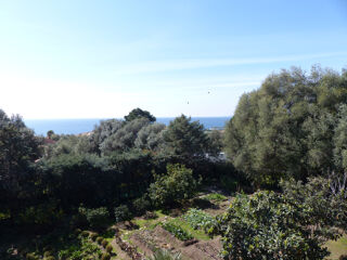  Maison  vendre 11 pices 365 m