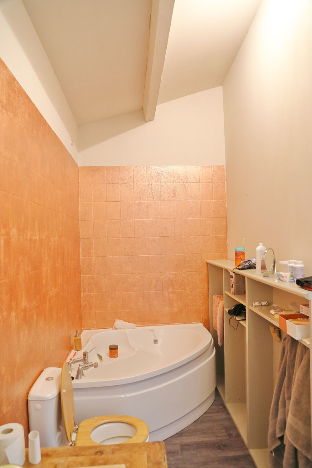 � vendre  Propri�t�/ch�teau Benon (17170)