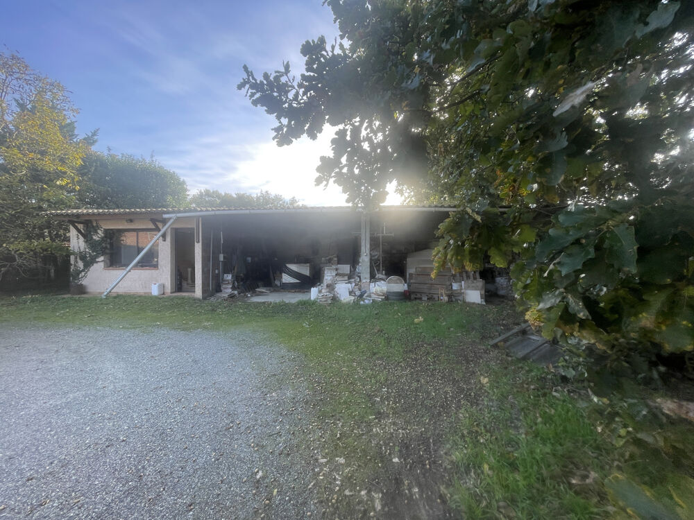 Vente Terrain Terrain 1000m2 viabilisé Roques/Garonne Roques