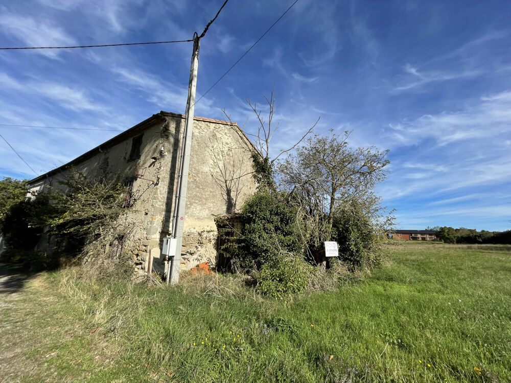 Vente Ferme GRANDE REMISE AMENAGEABLE Villesiscle