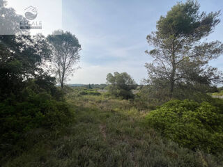 Vente Terrain VENTE TERRAIN AGRICOLE A PIGNAN Pignan