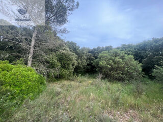  Terrain � vendre 6091 m� Pignan