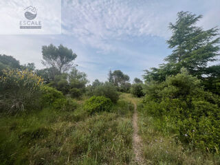  Terrain � vendre 6091 m� Pignan