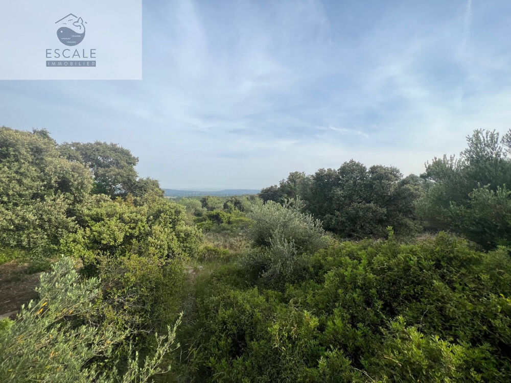 Vente Terrain VENTE TERRAIN AGRICOLE A PIGNAN Pignan