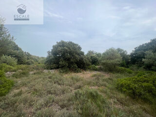  Terrain � vendre 6091 m� Pignan