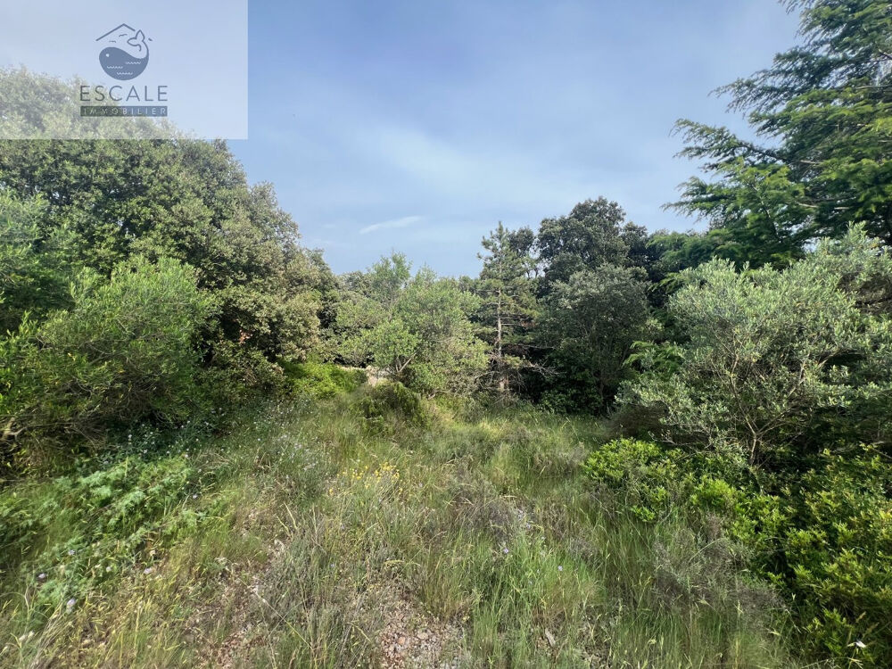 Vente Terrain VENTE TERRAIN AGRICOLE A PIGNAN Pignan