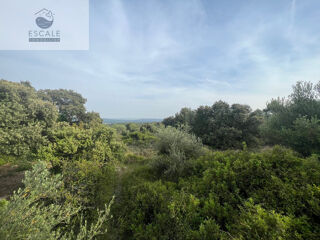 Terrain � vendre 6091 m� Pignan