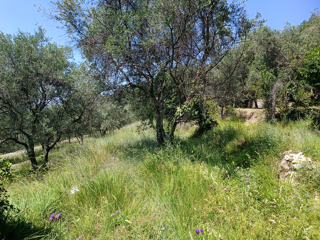  Terrain � vendre 6000 m�