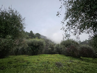  Terrain � vendre 2151 m�