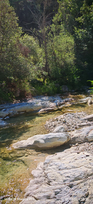  Terrain � vendre 20620 m�