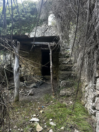  Terrain � vendre 9880 m�