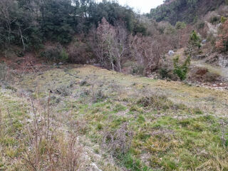  Terrain � vendre 20620 m�