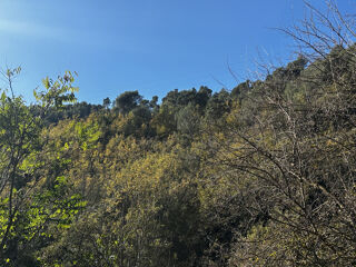  Terrain � vendre 9880 m�