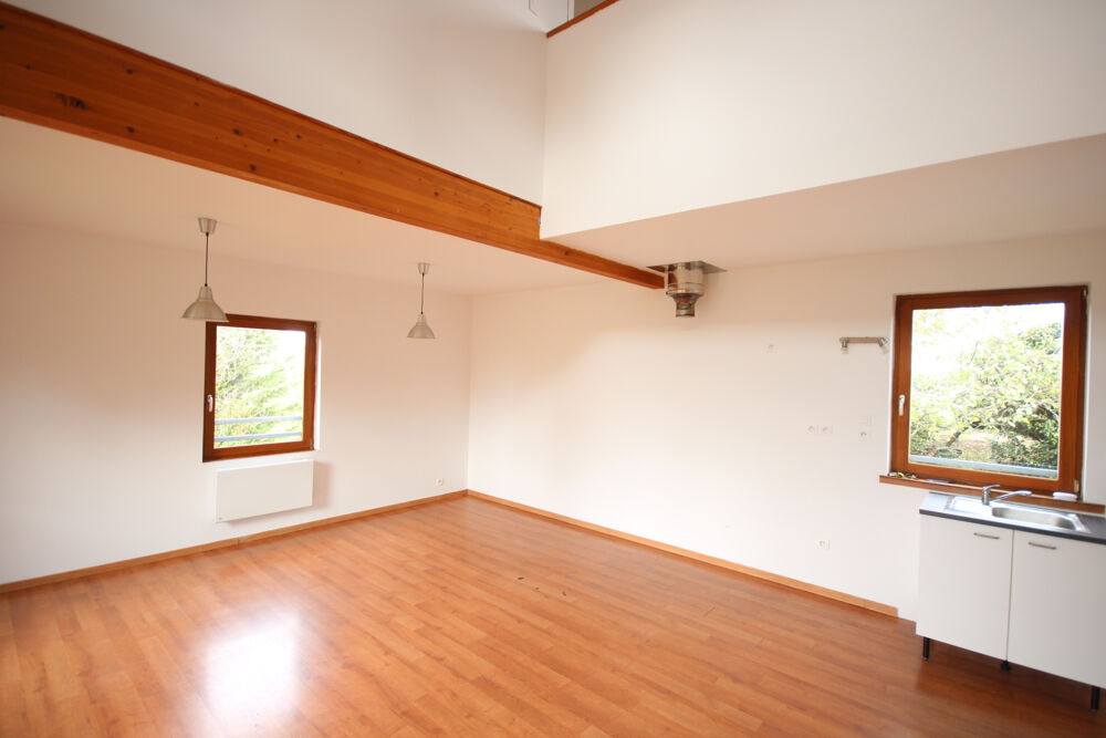 Vente Maison Maison bioclimatique avec vue Pyrénées Mirepoix