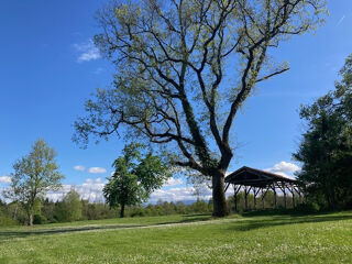  Proprit/chteau  vendre 15 + pices 585 m