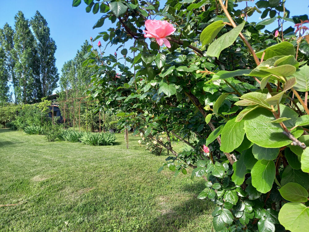 Vente Propriété/Château MAISON DE CARACTERE Mirepoix
