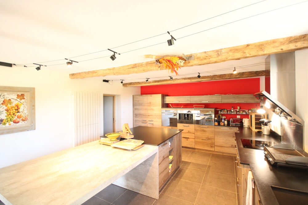 � vendre  Propri�t�/ch�teau Tarascon-sur-Ari�ge (09400)