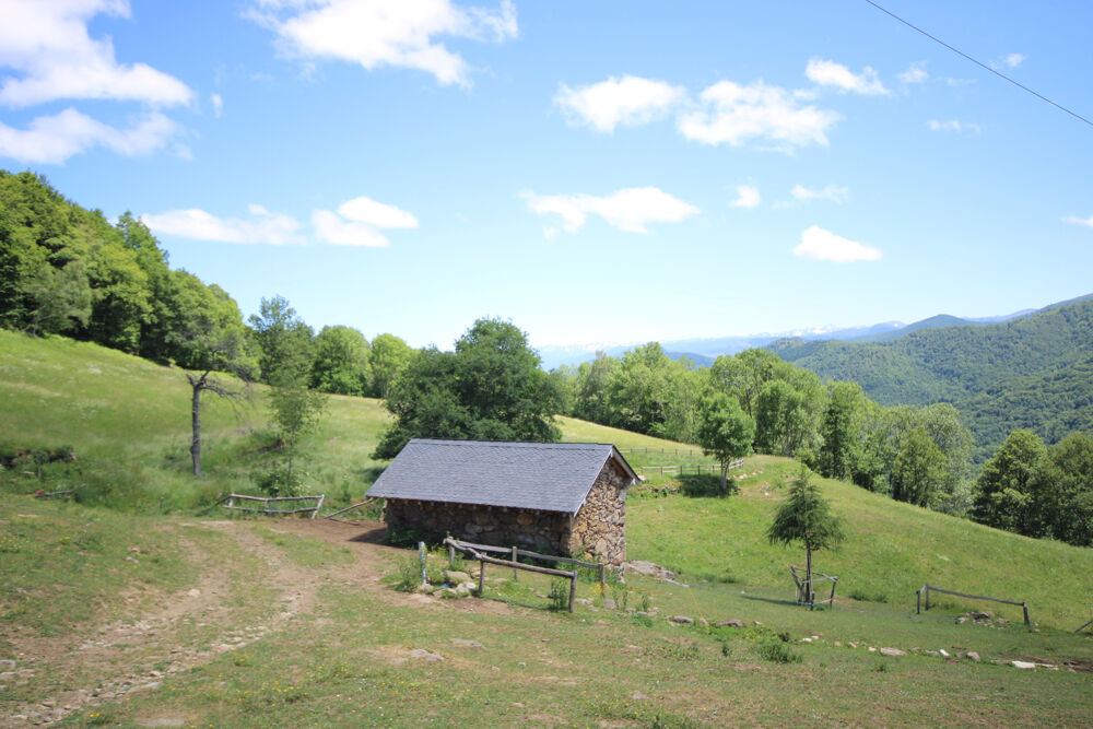 MAGNIFIQUE FERME D'ALTITUDE