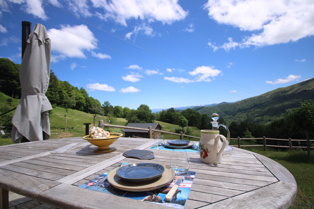 � vendre  Propri�t�/ch�teau Tarascon-sur-Ari�ge (09400)