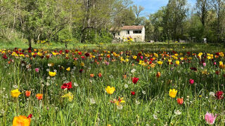  Maison � vendre 6 pi�ces 230 m�