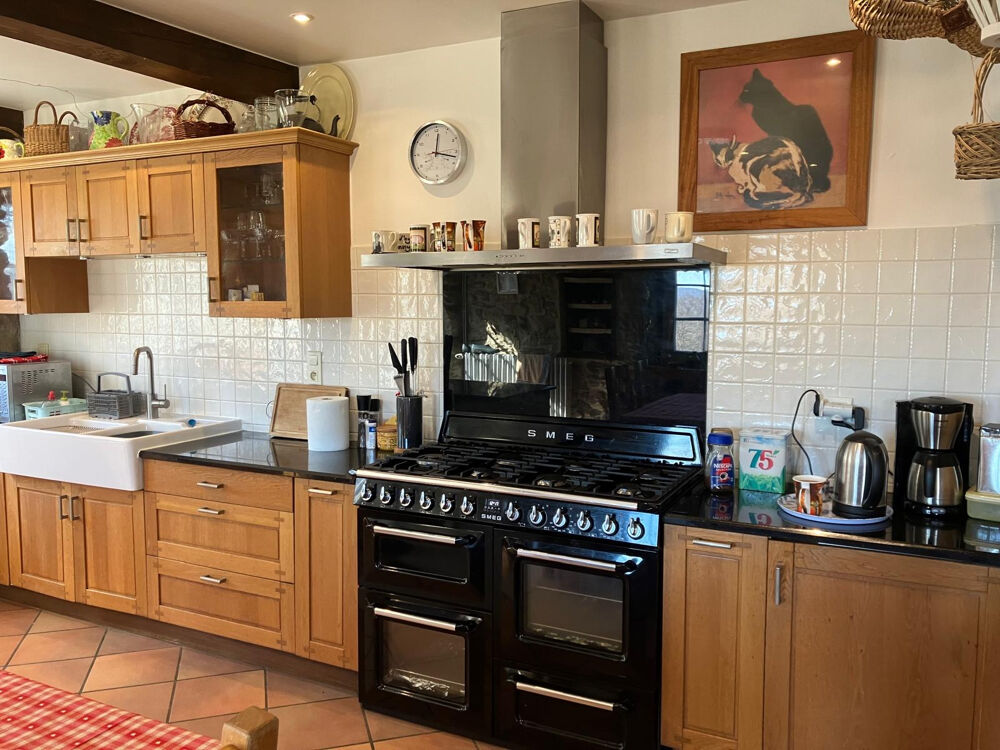 � vendre  Propri�t�/ch�teau Foix (09000)