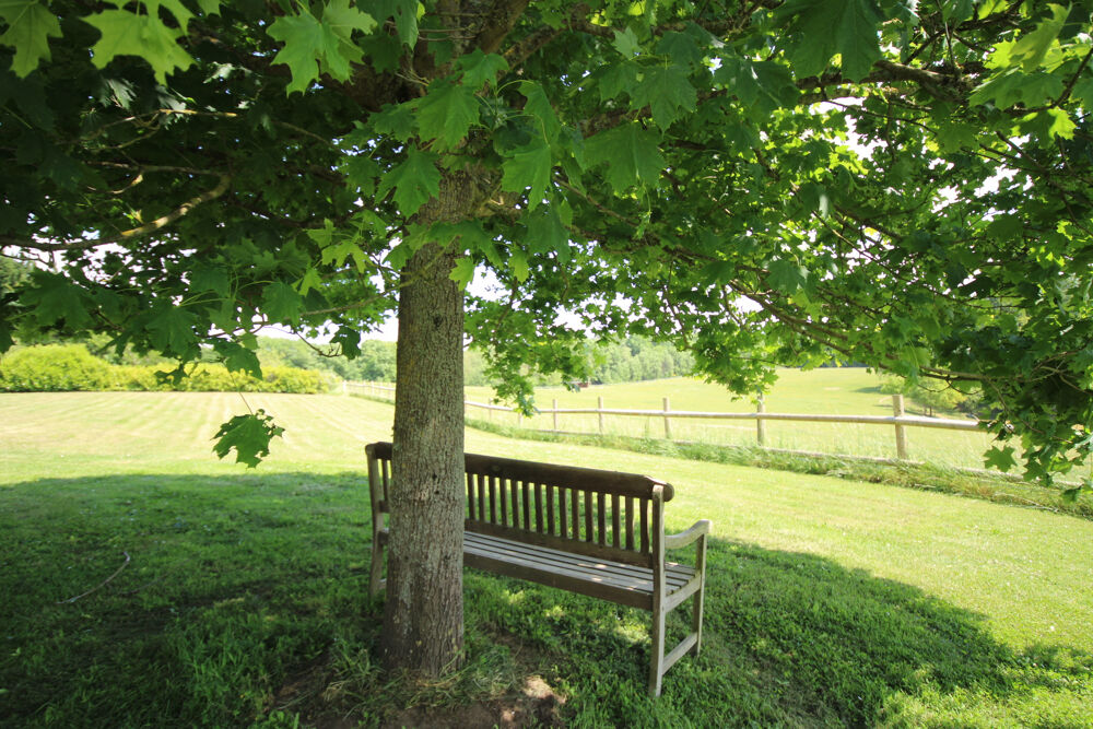 à vendre  Propriété/château Mirepoix (09500)
