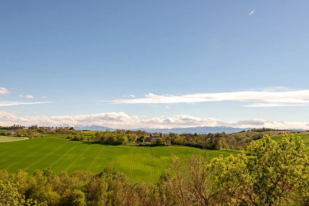 � vendre  Propri�t�/ch�teau Calmont (31560)