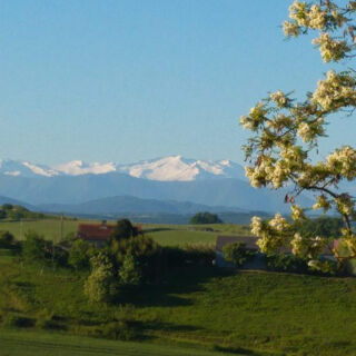  Propri�t�/ch�teau � vendre 15 + pi�ces 444 m�