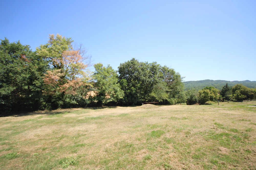 à vendre  Propriété/château Mirepoix (09500)