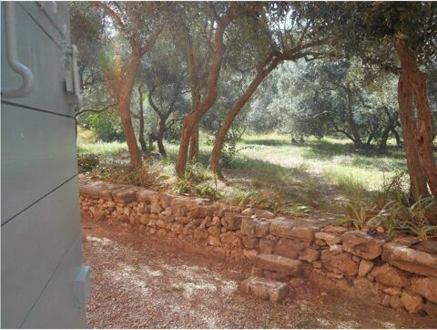  Appartement � louer 3 pi�ces 80 m�