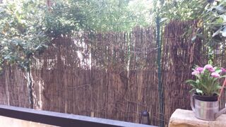  Appartement à louer 2 pièces 30 m²