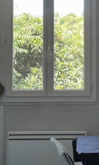  Appartement à louer 1 pièce 30 m²